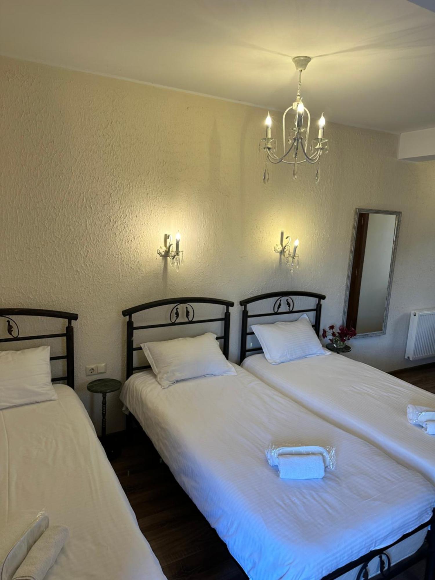 Hotel Wine Hills à Tbilissi Extérieur photo